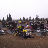 100_6652-800x602