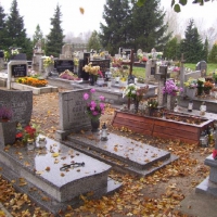 100_6671-800x602