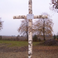 100_6603-800x602