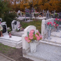 100_6608-800x602