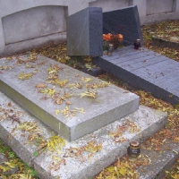 100_6601-800x602