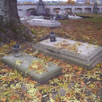 100_6602-800x602