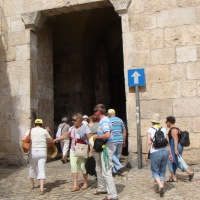 dsc03127-800x533