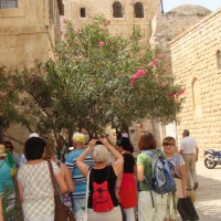 dsc03131-800x533