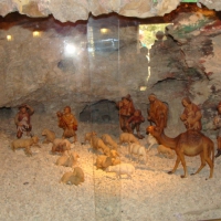 dsc03148-800x533