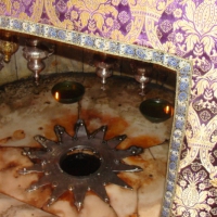 dsc03157-800x533