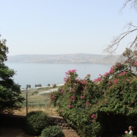 dsc03002-800x533