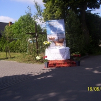 image003
