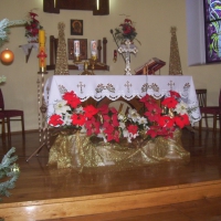 image003