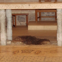 dsc03026-800x533