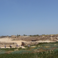 dsc03039-800x533