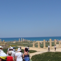 dsc03040-800x533