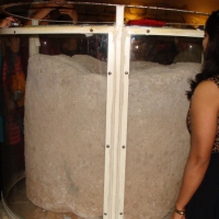 dsc02972-800x533