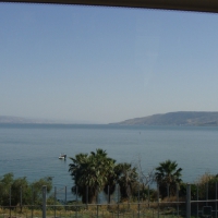 dsc02985-800x533
