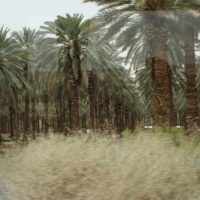 dsc03108-800x533