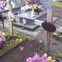 101_2427-1024x771