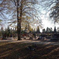 IMG_20211101_130956