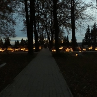 wś3